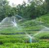 Solar Powered Water Pumps vs. Electric Water Pumps: Which Is Better?