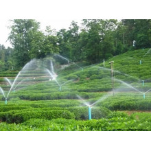 Solar Powered Water Pumps vs. Electric Water Pumps: Which Is Better?