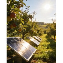 How to Troubleshoot Common Solar Pump Controller Issues?