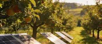 How to Troubleshoot Common Solar Pump Controller Issues?