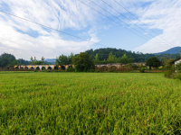 Large-Scale Solar Irrigation Systems: How Distributors of Solar Pump Cater to the Needs of Large Agricultural Projects
