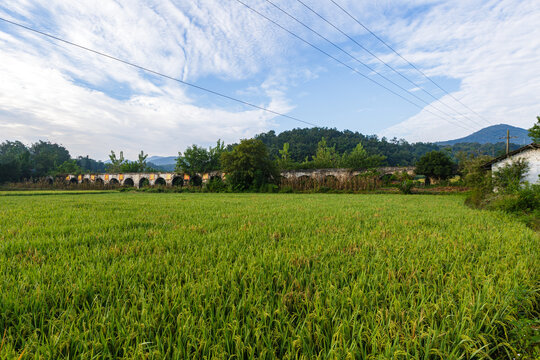 Large-Scale Solar Irrigation Systems: How Distributors of Solar Pump Cater to the Needs of Large Agricultural Projects