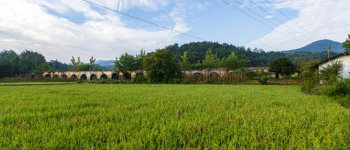 Large-Scale Solar Irrigation Systems: How Distributors of Solar Pump Cater to the Needs of Large Agricultural Projects
