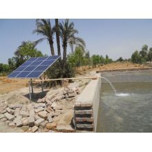 OEM vs. Branded Solar waterpump Suppliers: Which Partnership Model Is Right for Your Business?
