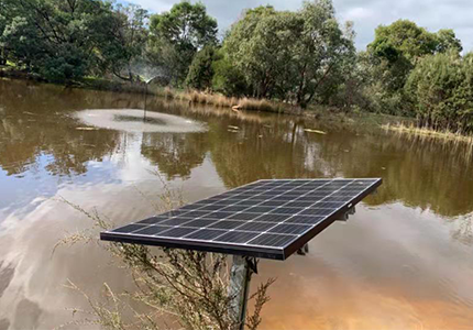 Australian | 3 Inch DC Brushless Screw Solar Submersible Pump Application Reference