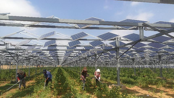 DIFFUL SOLAR PUMP - - Large-scale grid-connected photovoltaic power plants have achieved remarkable results in desertification land management and comprehensive ecological utilization