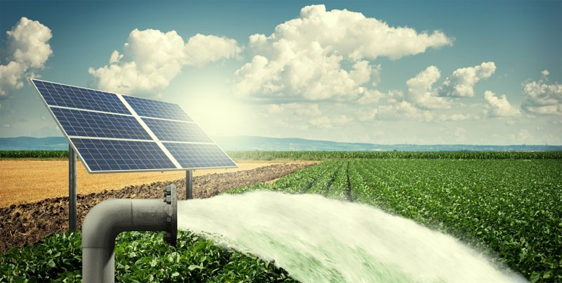 DIFFUL solar water pump for irrigation
