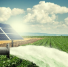 How Can Solar Water Pumps Revolutionize Agriculture?
