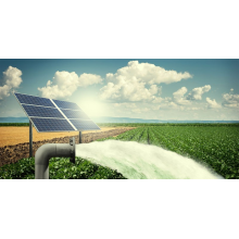 How Can Solar Water Pumps Revolutionize Agriculture?