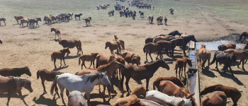 Solar Water Pump: "Green Water Power" for Ranches