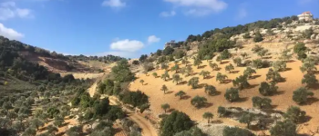 Empowering Middl-east countries Agriculture: DIFFUL Solar Water Pumps Address Irrigation Challenges with Localized Solutions