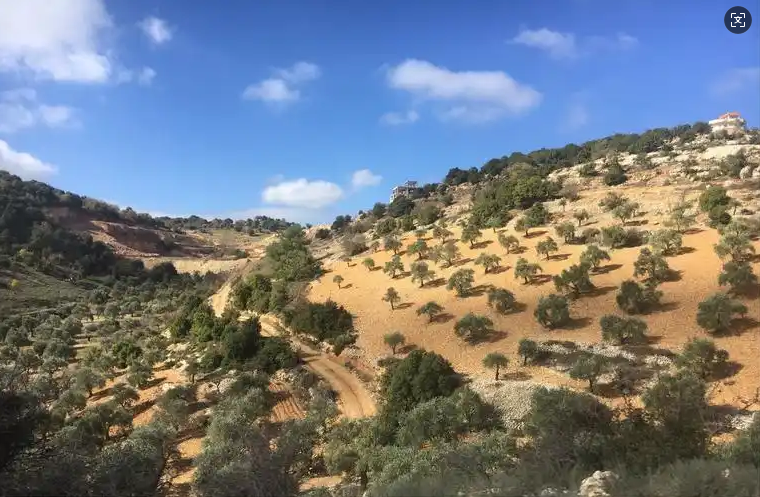 Empowering Middl-east countries Agriculture: DIFFUL Solar Water Pumps Address Irrigation Challenges with Localized Solutions