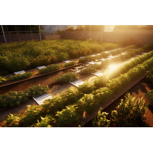 In rural irrigation, which types of DIFFUL solar pumps deliver the highest reliability?