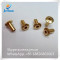 china supplier brass chicago screws
