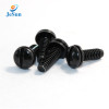 High quality Customized Precision Nylon black screw