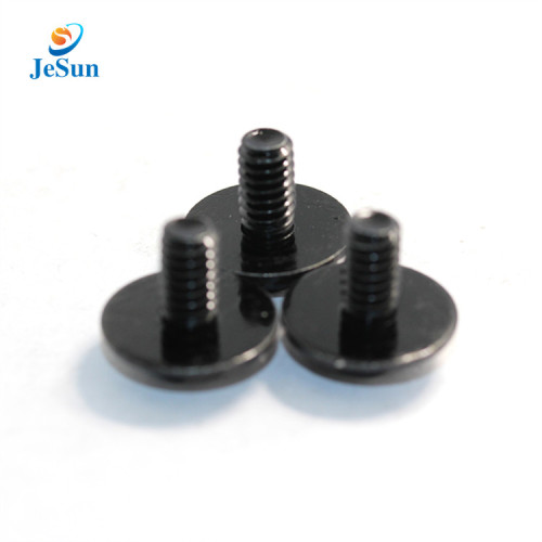 High quality Customized Precision Nylon black screw