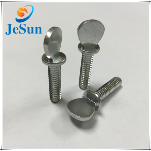 Customized Stainless Steel Special Head Screw