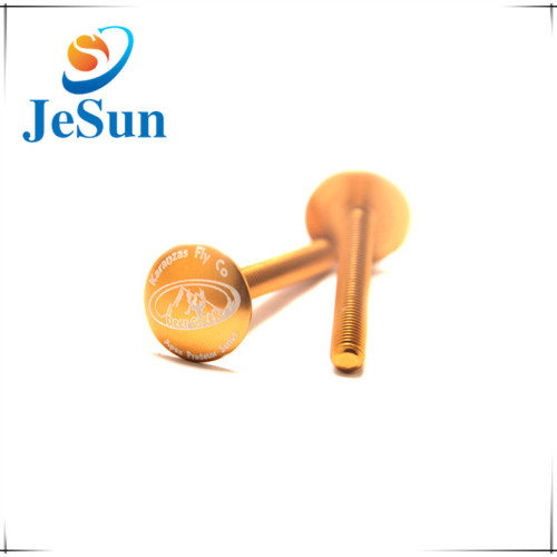 Gold colours anodized screw with Logo