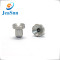 Stainless Steel Nuts Special Head Nuts