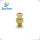 Brass Step Screw With Hole
