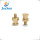 Brass Machining Screws Milling Parts