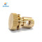 High Precision Custom Made CNC Brass Lathe Turning Machine Mechanical Parts Brass Turning Parts Factory