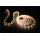 Best for Decoration SMD5050 RGB+W 12V LED Strip Lights