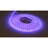 Good Choice for  Household Decoration SMD5050 RGB 60leds/m 220V Led Strip Lights