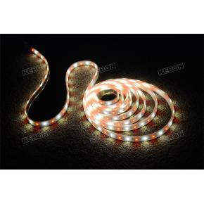 CE, RoHS Approved Colorful 12V LED Strip Lights Applied for Decoration Filed