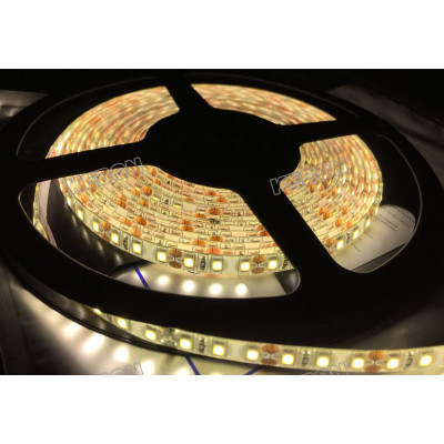 Wholesale SMD2835 60LEDs DC12V/24V Waterproof LED Flexible Strip Light