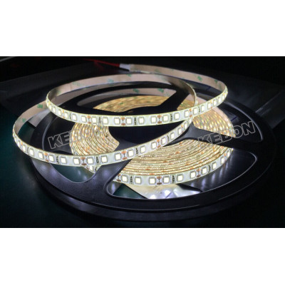 SMD2835 120LED DC12V 24V White Multicolor LED Flexible Strip Light