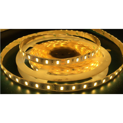 SMD2835 240 LED two lines two rows 15mm width DC 12V/24V LED Flexible Strip Light