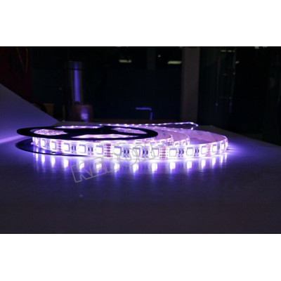 Dimmable 4 in 1 LED DC12V 24V RGBW/WW SMD5050 changing color LED Flexible Strip Light