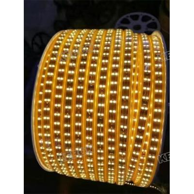 Super Bright Outdoor  SMD2835  180leds/m Double Row220V Led Flexible Strip Lights