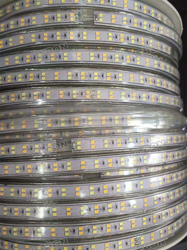 New Product Subsection Control  SMD2835  160leds/m Two Colors 220V Led Flexible Strip Lights with Light Efficiency