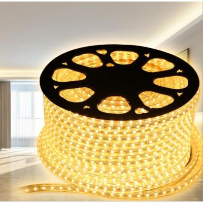 Brightness High Lumen  SMD5050 White and Warmwhite 60leds/m 220V Led Strip Lights