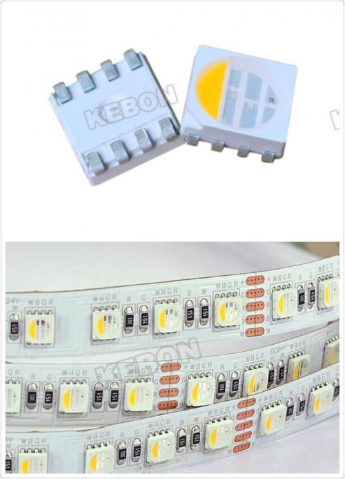 Популярные 4 в 1 светодиодный DC12V / 24V RGBW / WW SMD5050 Светодиодные гибкие полосы света