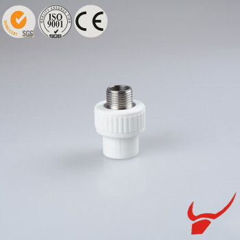 PPR male thread socket China Factory Direct Sale  /PPR Male Socket Thread Brass Pipe Fittings /PPR Fittings Male Thread Socket