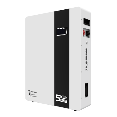 Wall-Mounted  Energy Storage Battery