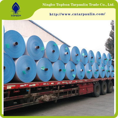 High Quality PE Tarpaulin Sheet PE rolls  TBN11