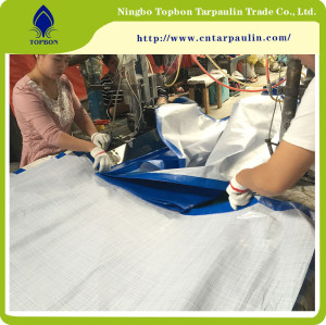 Blue PE Tarpaulin for Construction Cover TPT021