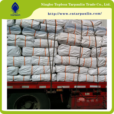 China Coated Double Blue PE Tarpaulin TB2230