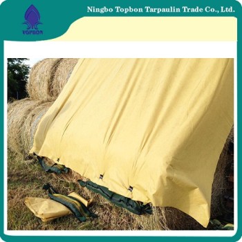 tarpaulin cost