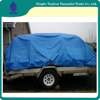 Payment Protection Low Price Pe Tarpaulin