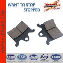 YL-F016 Professional Manufacturers Wholesable Brake Pad for Motorcycle