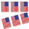 American Plastic National Flag
