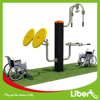 Disabled Adult Outdoor Fitness Equipment Seller