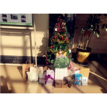 Gift Party in Christmas Day