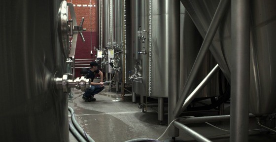The 5th Ingredient: Learn How Oil-free Compressed Air Can Keep Your Beer Pure