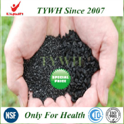 anthracite coal based activated carbon